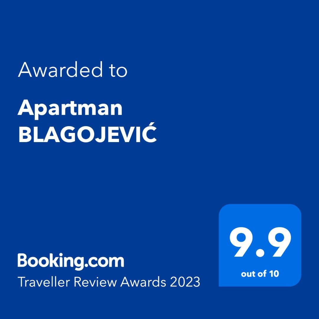 Apartment Blagojevic Banja Koviljača